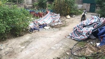 Bán gấp đất Đông Mỹ ô tô 7 chỗ vào đất ,phân lô ,giá đầu tư 4,5 tỷ