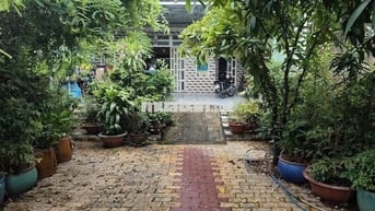 MẶT BẰNG KINH DOANH 260m2 ĐƯỜNG HUỲNH BÁ CHÁNH, XÃ TÂN NHỰT