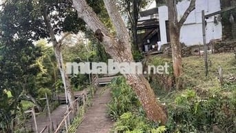 Cho thuê nhà cấp 4  nguyên căn view ruộng, đẹp, mát