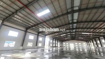 Cho thuê xưởng 2600m2 tại Vĩnh Tân Tân Uyên Bình Dương