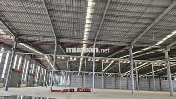 Cho thuê kho xưởng ,DT: 15.600m²,CCN Kiến Thành,Long An, PCCC tự động