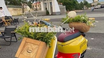 mình cần bán xe giorno của vợ ai cần ib ạ