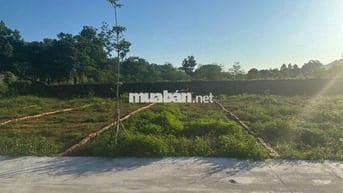 Bán Đất nền ở Khu Phố Thống Nhất Thị trấn Thanh Sơn, Thanh Sơn Phú Thọ