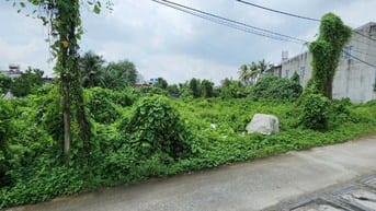 Bán đất thổ cư đường Hà Duy Phiên DT 995m2 ngang 30m 