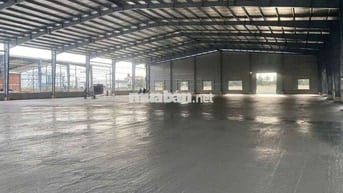 Cho thuê xưởng 2600m2 tại Tân Uyên Bình Dương