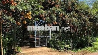 VỊ TRÍ VÀNG TIỀM NĂNG TĂNG GIÁ CAO