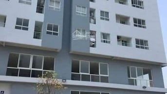 Rẻ nhất khu vực Cân Cho thuê căn hộ chung cư ngay Ủy ban Quận Tân Phú