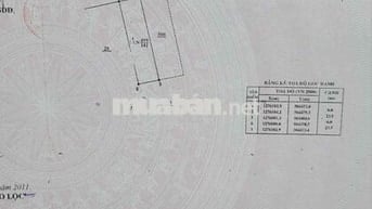 chính chủ cần bán căn nhà trung tâm tp bảo lộc