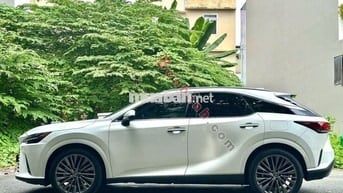 Lexus RX350 luxury
