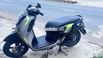scoopy 2025 lướt