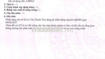 Cần bán đất SKC 15.915m2 tại Trừ Văn Thố Bầu Bàng Bình Dương