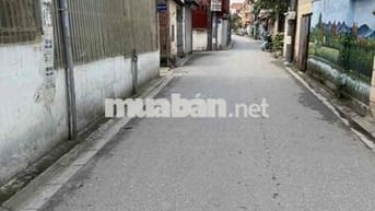 Bán đất Phú Thị Gia Lâm 163m, ngõ thông ô tô, gần ngay  khu đô thị