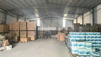 Xưởng cho thuê thạnh Xuân hóc môn giá 55 tr