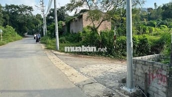 CHÍNH CHỦ CẦN BÁN GẤP LÔ ĐẤT 570M SẴN 100M2 THỔ CƯ, TRỤC CHÍNH PHÚ MÃN