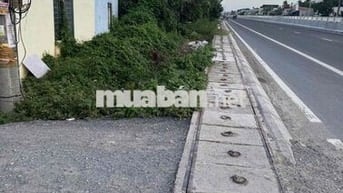 cần bán đất nền diện tích 254m2