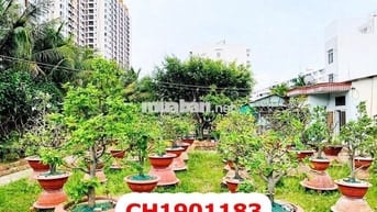 Đất MT Khu Võ Văn Kiệt - 24 x 80M - 59 Tỷ - Quận Bình Tân