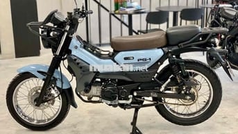 Xe Yamaha PG1 2024 chính chủ BSTP, giá cực hợp lý