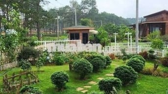 NGỘP BANK lô đất vườn có nhà gỗ sẵn view đẹp tại Lạc Dương chỉ 990tr