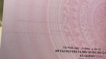 Chính chủ bán đất ấp Rỗng Tượng