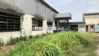 Cho thuê kho xưởng sản xuất Bến Cát - BD