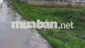 Chủ ngộp cần ra miếng đất ngay đường xuyên tâm
