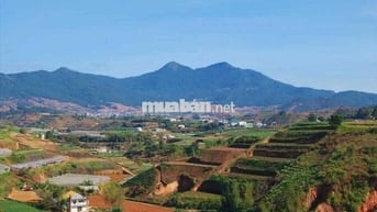 🌿 CHÍNH CHỦ CẦN BÁN ĐẤT VƯỜN VIEW ĐẸP TẠI ĐÀ LẠT 🌿