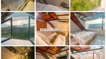 🌟Nhà Đẹp Rộng– Hẻm 6m– Hoàng Hoa Thám – Đà Lạt  – 5.9 Tỷ