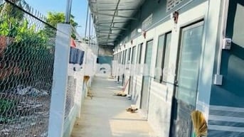 Cần bánNhanhDãyTrọ ở HồVănTắng TânPhúTrung 990tr Sổhồngriêng Sẵn 243m2