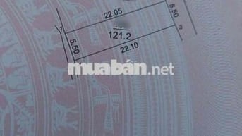 Bán đất-Xuân Bách (Xã Quang Tiến-SS ) – 121,2m²- 4,15 Tỷ- Full Thổ Cư-
