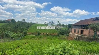 Bán lô 2 mặt tiền đường chính Phùng Hưng xã Lộc Tân