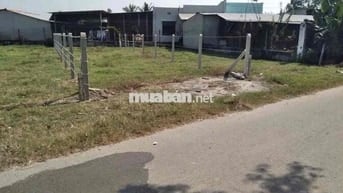 CHỦ CẦN TIỀN BÁN GẤP 149m2 ĐẤT GIÁ 580tr NGUYỄN THỊ NGOẠN