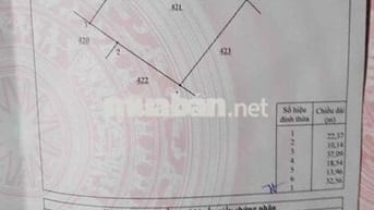 Đất trông cây Thanh Bình, Trảng Bom, Đồng Nai