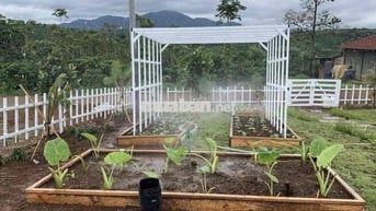 Ngộp vốn cần bán gấp lỗ lại 400m2 view đồi tặng vườn tiểu cảnh 590tr