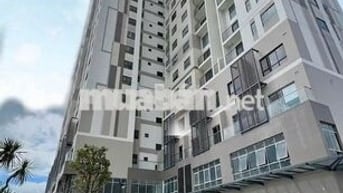 Cho thuê mặt bằng Shophouse 1 trệt x 1 lầu - Nhận ngay ở liền được