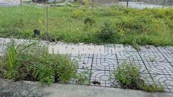 Đất ngộp cần bán sau lưng chợ Đức Hoà , trong kdc Đức Hoà , Đường nhưa