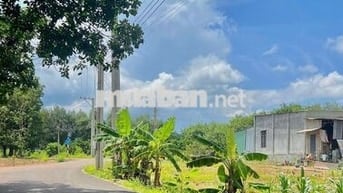 Bán Vườn 3426m2, Giá 750 triệu, thương lượng, Sát trường học An Linh,