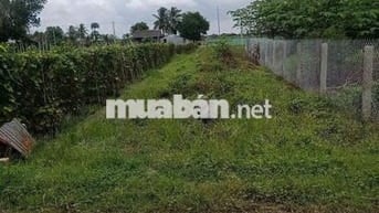 Đất MT Võ Thị Nhúa ngay KCN Tân Phú Trung, 125m2 giá 810tr