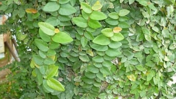 TUYỂN LAO ĐỘNG PHỔ THÔNG ĐI làm ngay