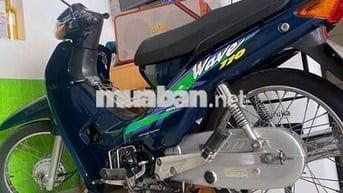 thái 110