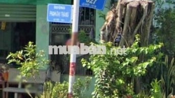 BÁN LÔ ĐÂT 650 TRIỆU FULL THỔ CƯ -XÂY DỰNG TỰ DO