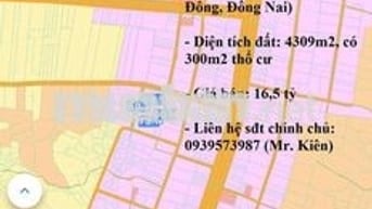 Chính Chủ Bán 4309m2 Đất 2 Mặt Tiền Đường ĐT 765, Xã Xuân Tây, Cẩm Mỹ