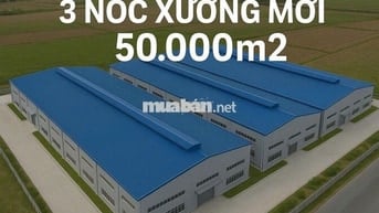 Cho thuê kho xưởng KCN Tân Phú Trung, Củ chi, PCCC tự động , dock cont