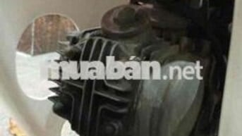 Bán Xe Cúp 81 Cho Học Sinh