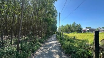 Bán 5x27(135m2) 62m2 Tc Hẻm Lý Nam Đế Tân Phước LaGi Giá 650 Triệu