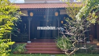 CHO THUÊ MẶT BẰNG ĐẸP SÂN VƯỜN HÒA XUÂN ĐẦY ĐỦ ĐỒ ĐAC NỘI THẤT