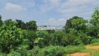 Bán đất Minh Hồng, Minh Quang, Ba Vì 2020m, lô góc, mt lớn, oto, 3.1tỷ