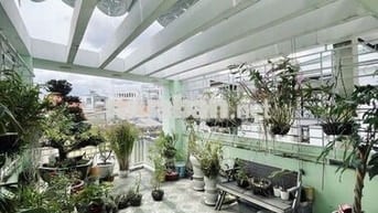 Hàng hiếm đường Nguyễn Văn Đậu, HẺM XE HƠI 8M DƯỚI 10 TỶ