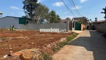 Siêu phẩm hơn 500m2 - Hẻm cấp 1 Mai Thị Lựu gần bv Vùng