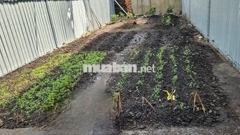 Chính chủ cần bán đất Phường Tân Tạo (Sau chùa Long Thạnh)