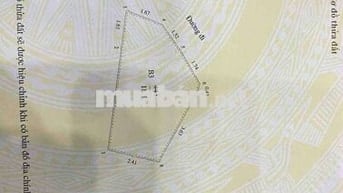 Ảnh đại diện
